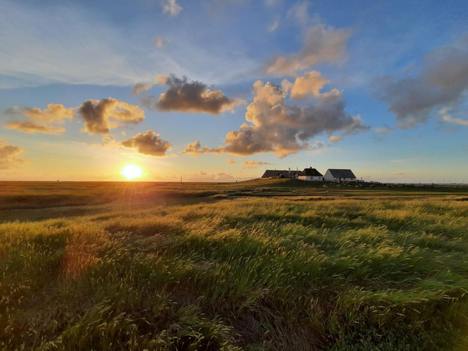 Nordsee Bauernhof Familie Wulff Fewo "Suedfall" Reußenköge 외부 사진