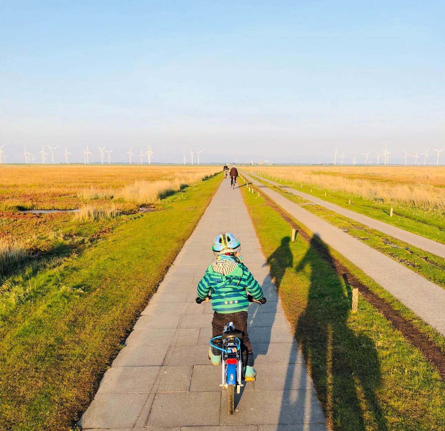 Nordsee Bauernhof Familie Wulff Fewo "Suedfall" Reußenköge 외부 사진